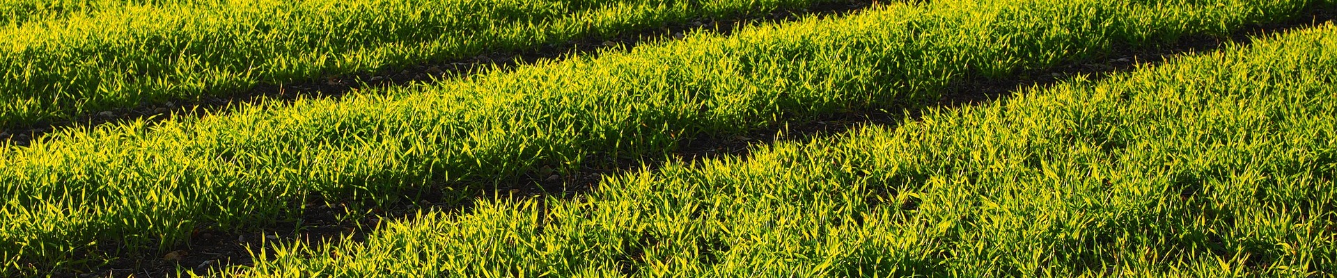 Contact header