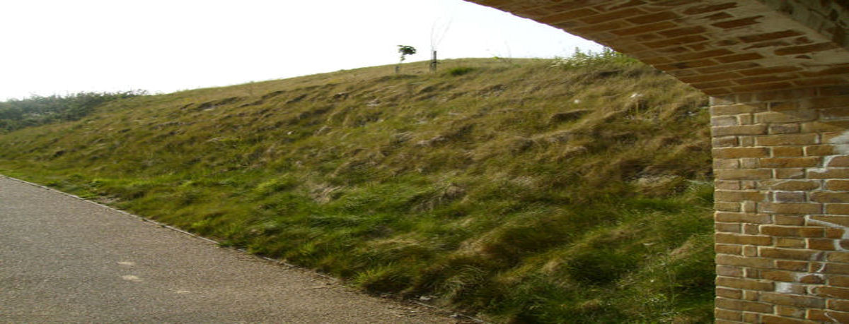 Preserving Vistas